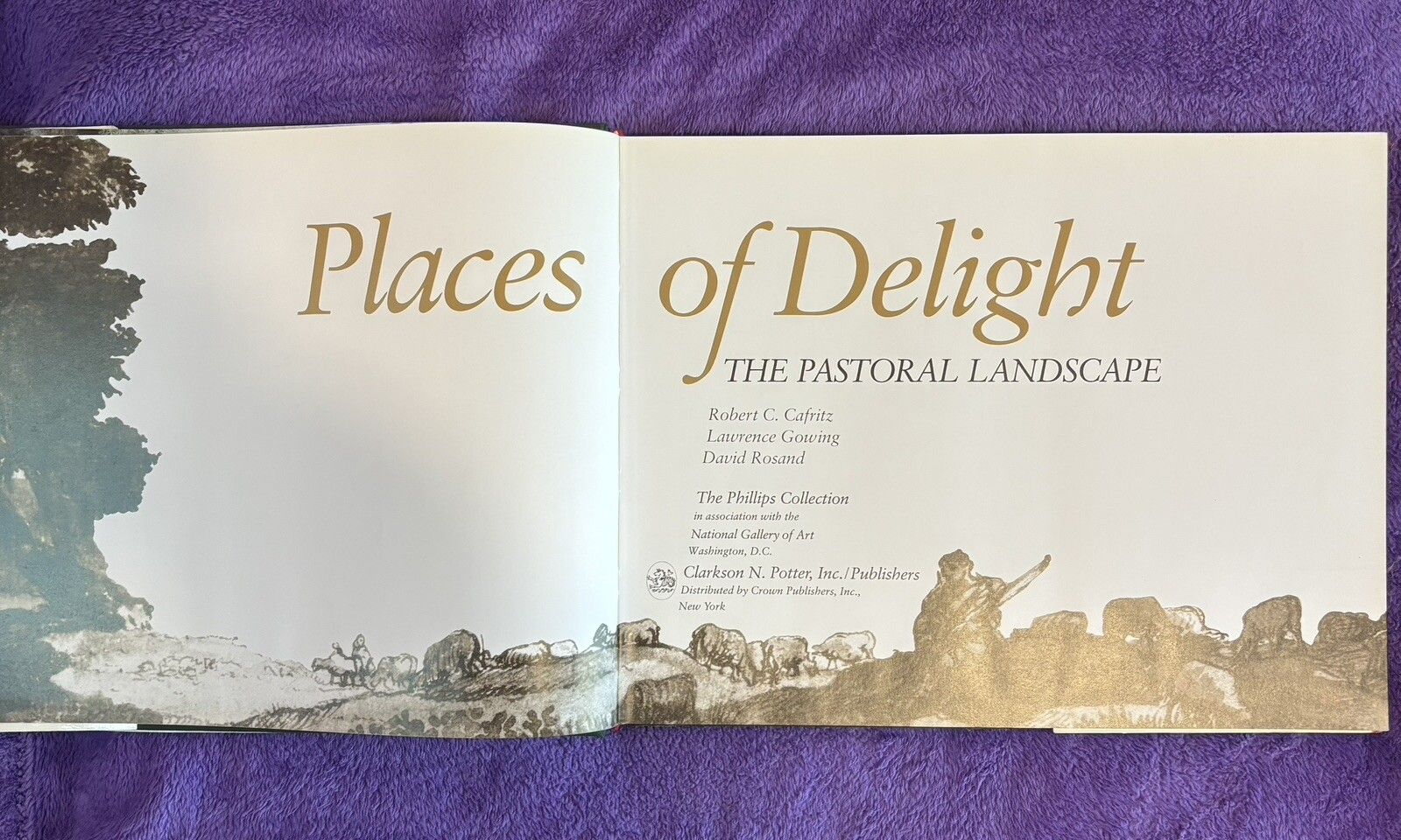 Places of Delight, The Pastoral Landscape (Cafritz, Rowing, Roland) Hardback