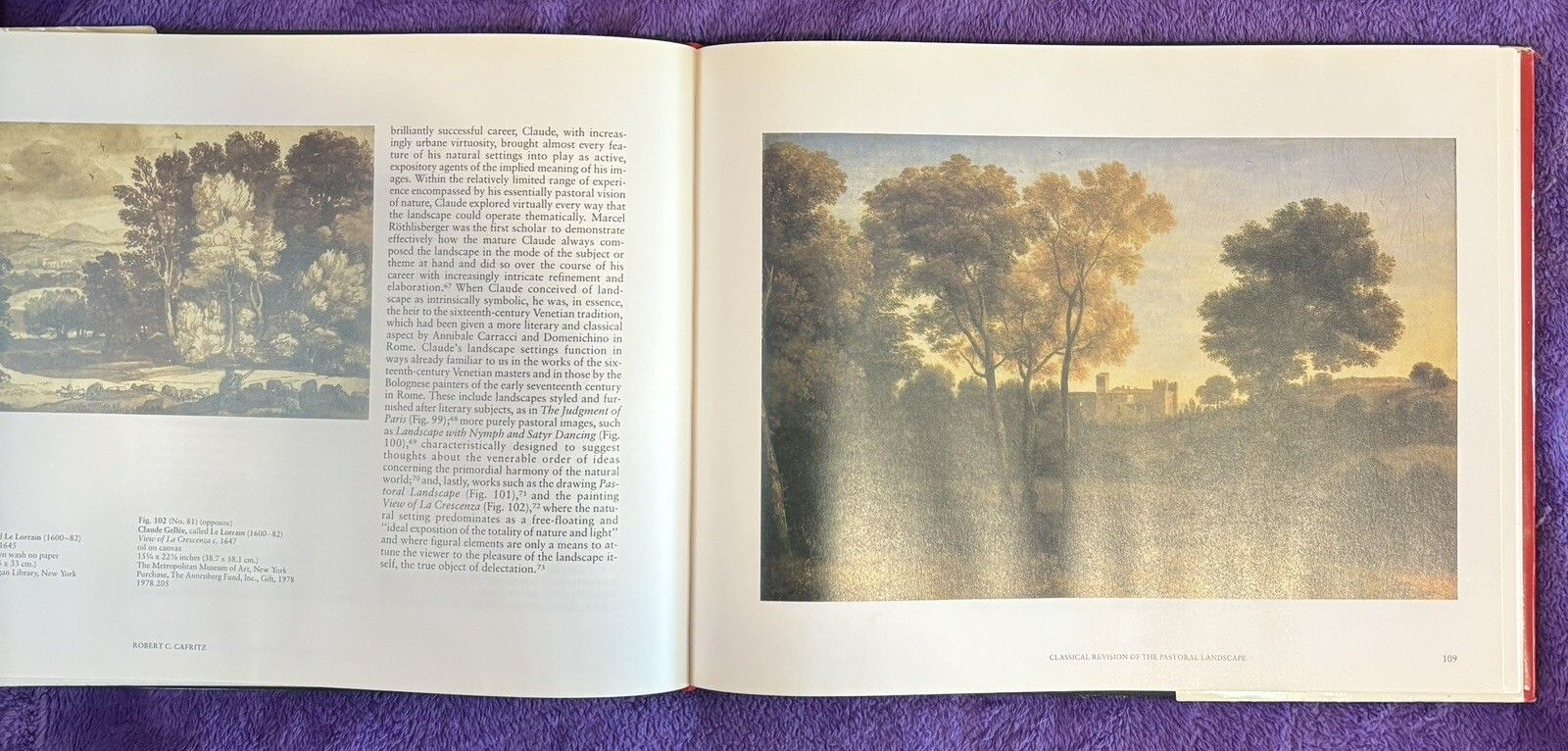 Places of Delight, The Pastoral Landscape (Cafritz, Rowing, Roland) Hardback