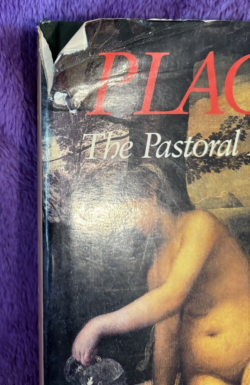 Places of Delight, The Pastoral Landscape (Cafritz, Rowing, Roland) Hardback