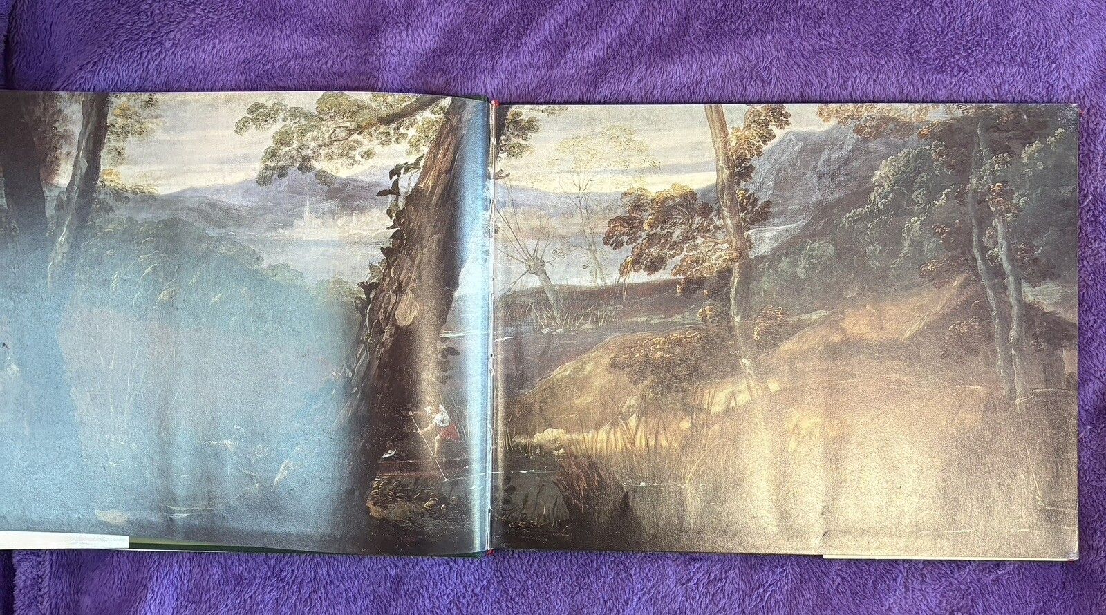 Places of Delight, The Pastoral Landscape (Cafritz, Rowing, Roland) Hardback