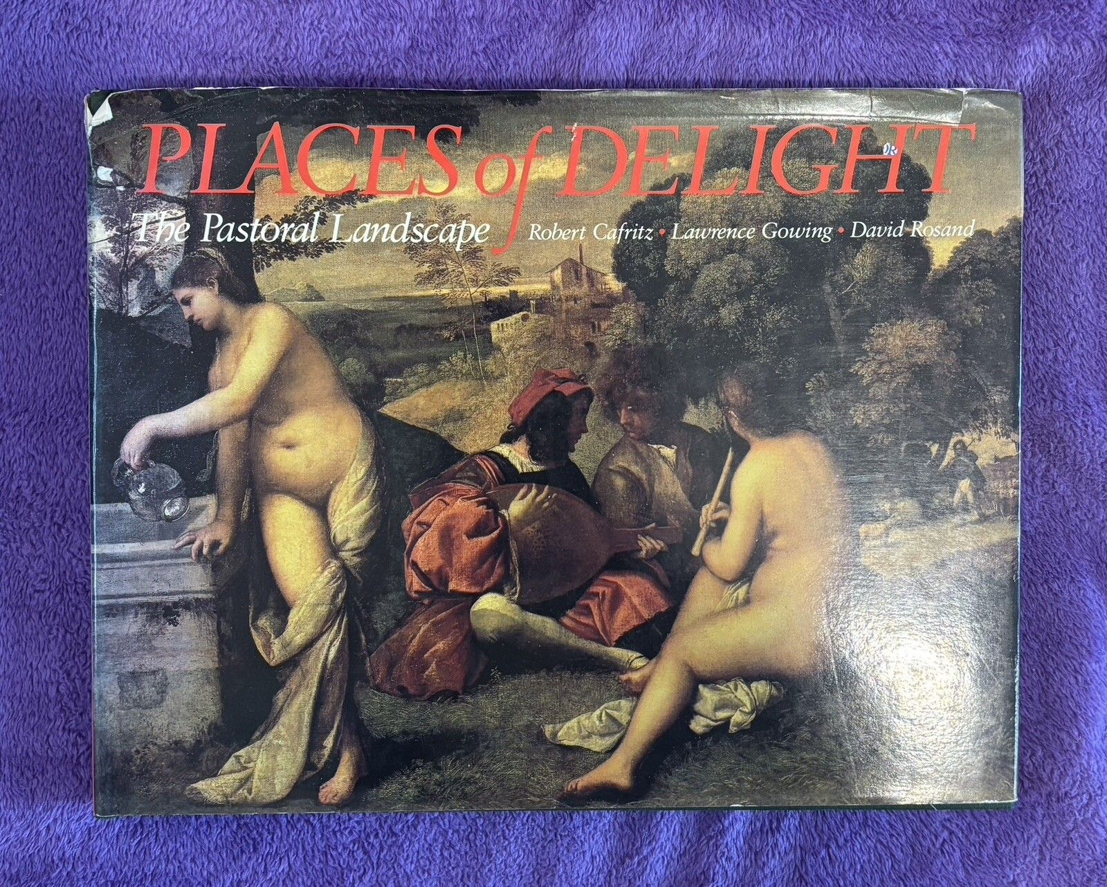 Places of Delight, The Pastoral Landscape (Cafritz, Rowing, Roland) Hardback